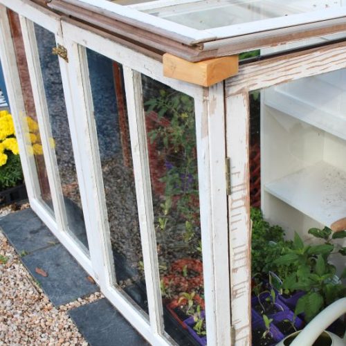 A Recycled Downsized Greenhouse Idea